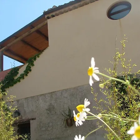 Lantställe Casa Donna Luisa Stilo